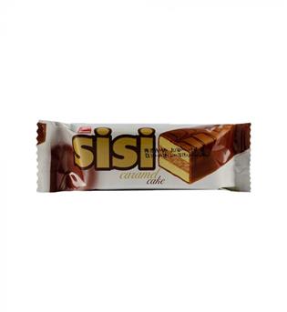 4060 سی سی ریز