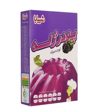 پودر ژله توت سیاه 100گرمی شیبابا