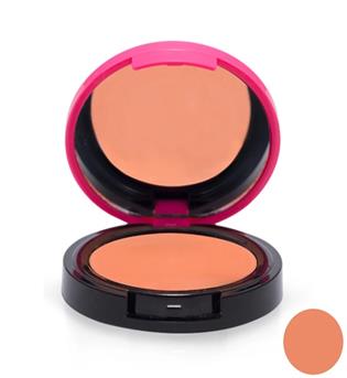 رژگونه تک رنگ کالر اندآرتB02.کالیستا