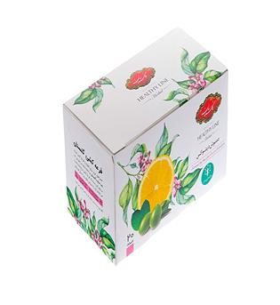 دمنوش دیتوکس 20 عددی گلستان