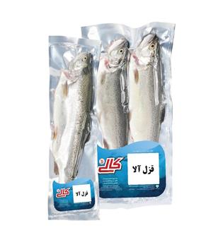 ماهی قزل شکم خالی 800گرمی کالی